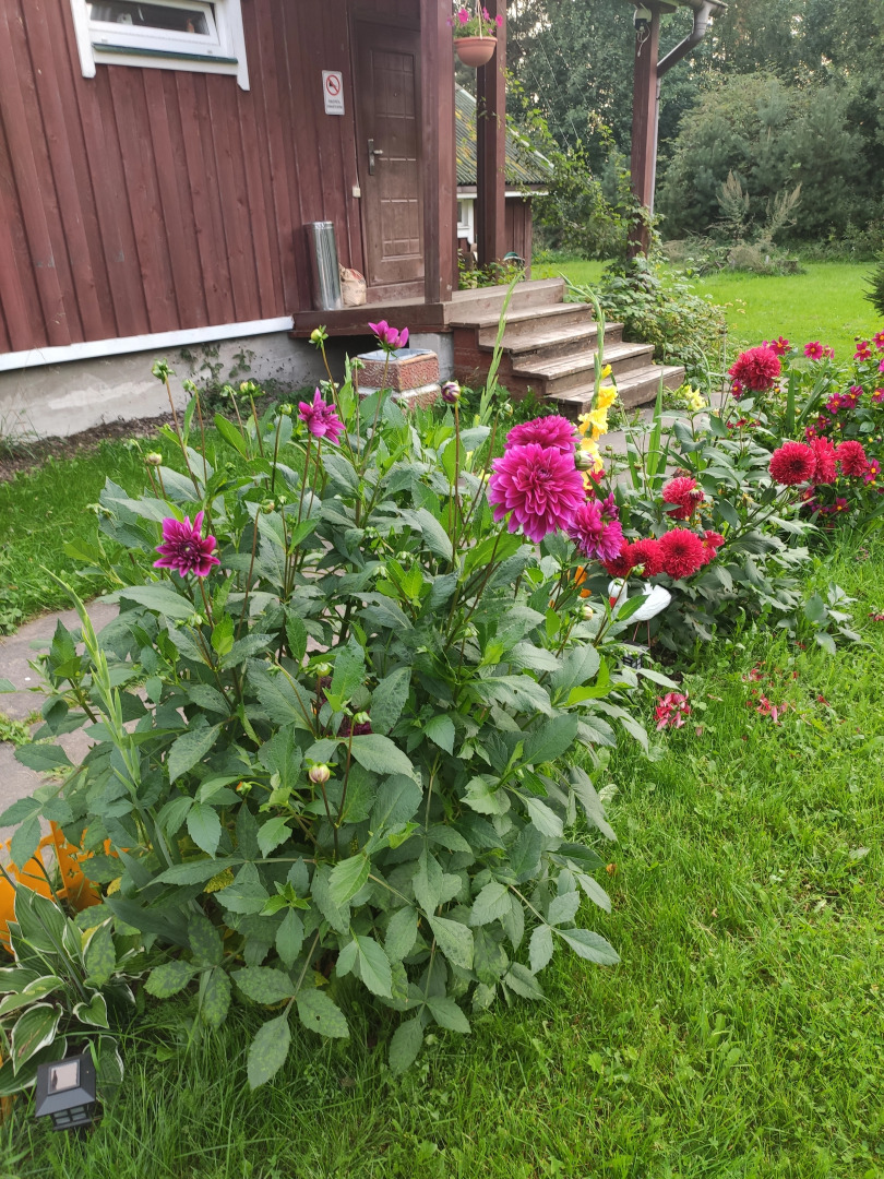 Апартаменты Piknikki Громовское сельское поселение