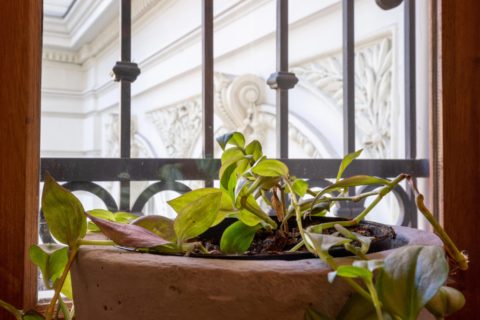 Апартаменты HB apartments President's palace