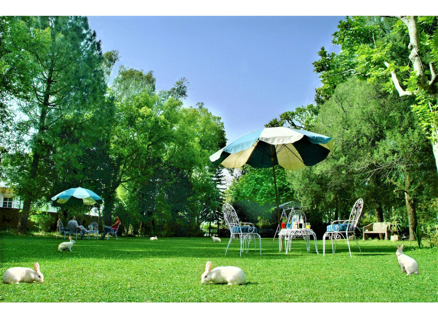 Отель WelcomHeritage Taragarh Palace