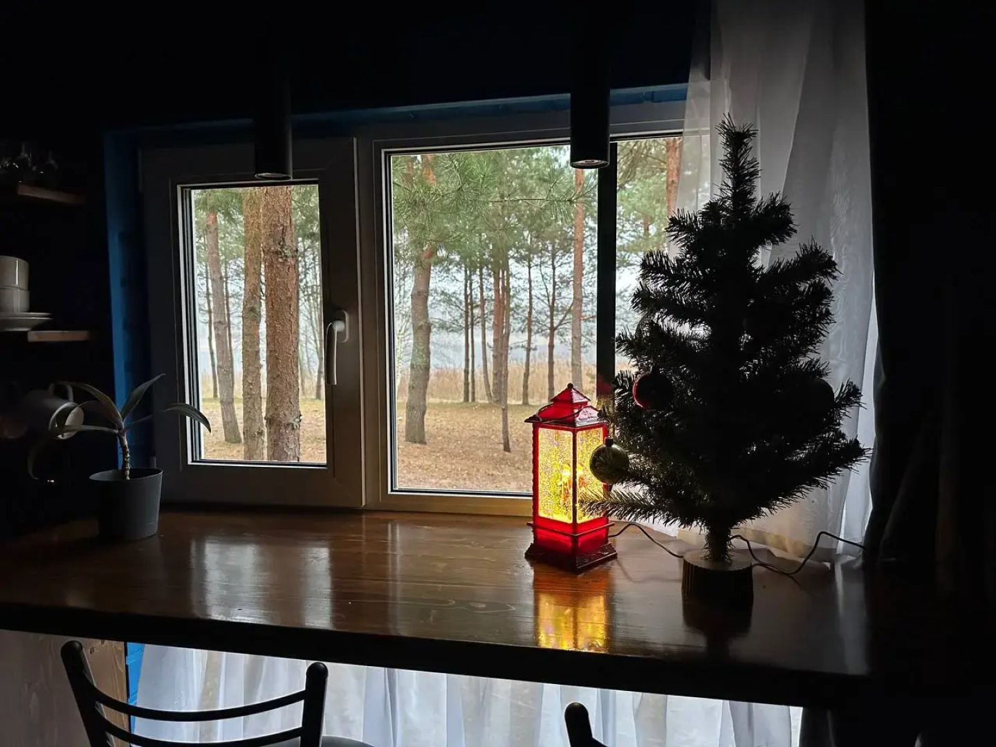 Частный дом Reo Rest - дом Лесное озеро