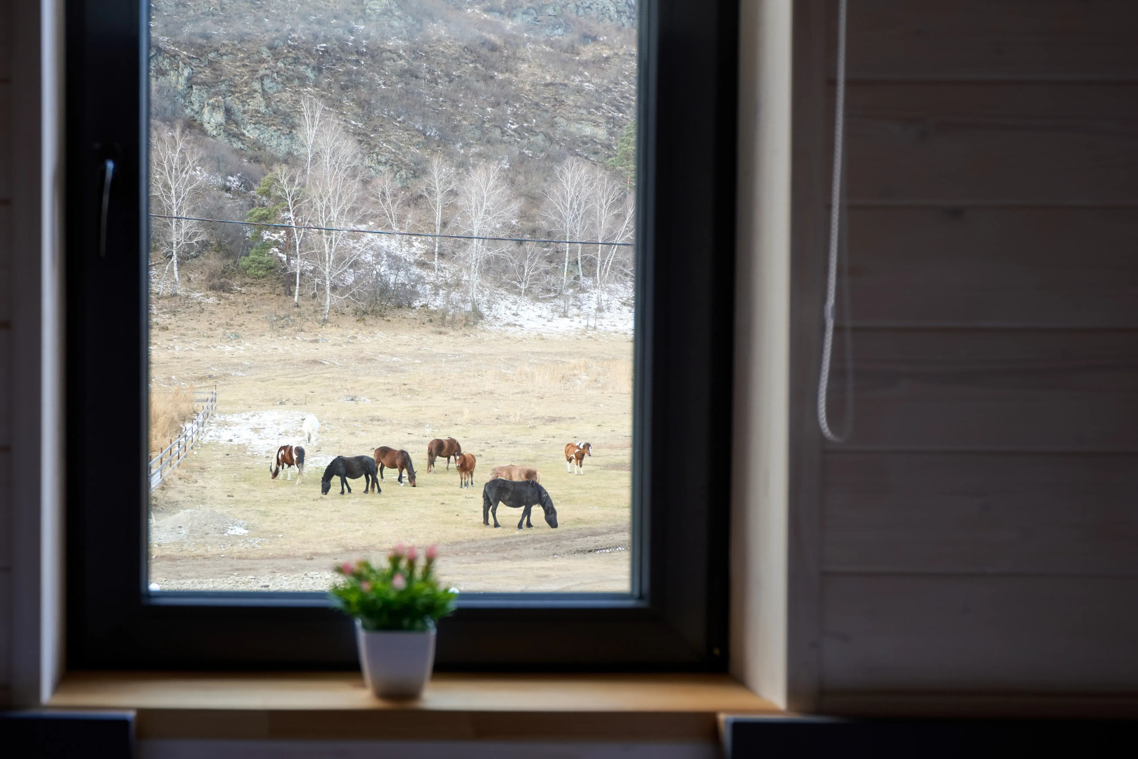 Гостевой Дом Апарт А Фрейм Горный Алтай