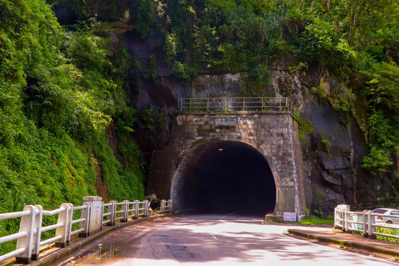 Отель Yoho Thuruliya Lodge