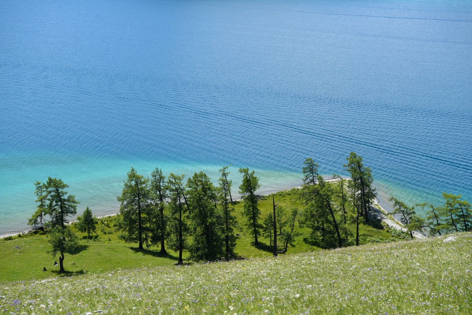 Курортный отель  Dalai Eej Khuvsgul Lake National Park