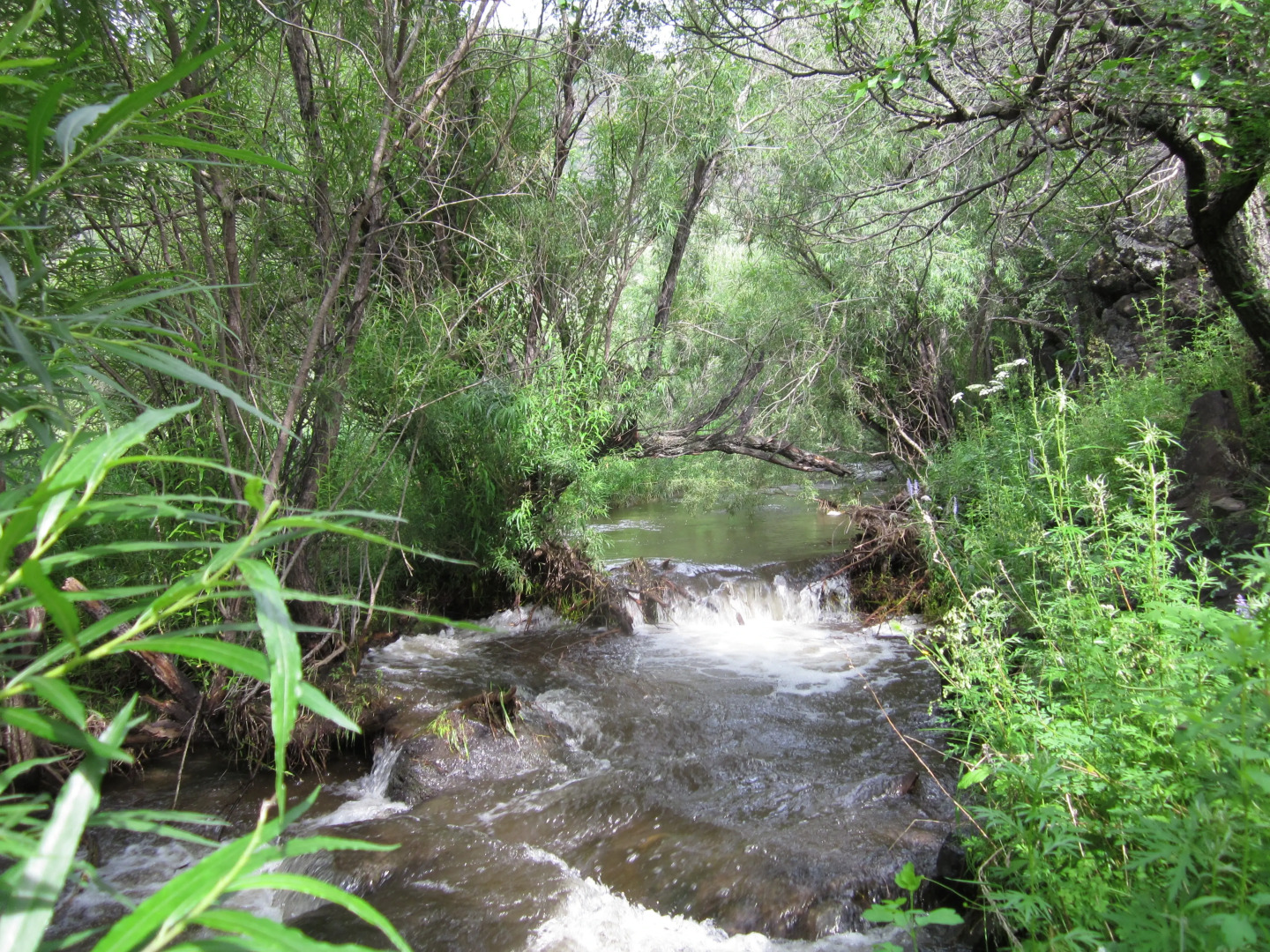 База Отдыха Uruumiin Gol Ecotour Camp