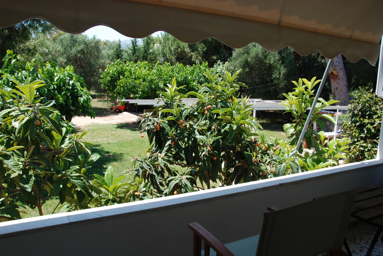 Вилла Alexander