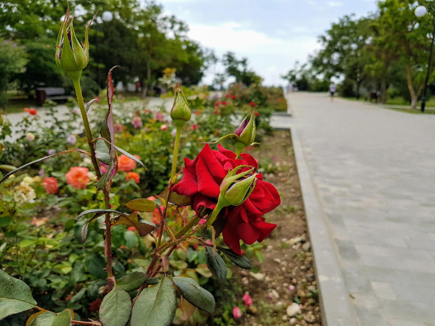 Гостевой Дом Берег Плюс