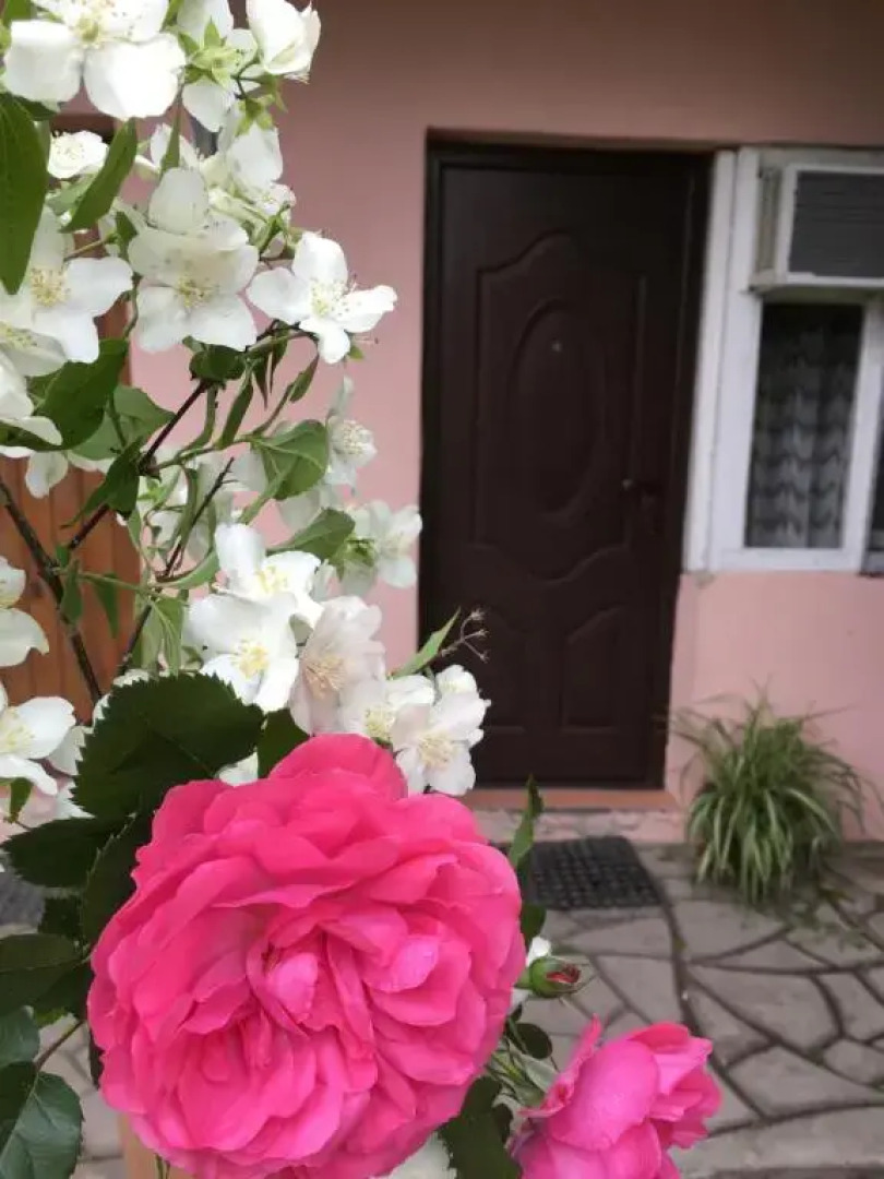 Гостевой Дом Отдых у Моря