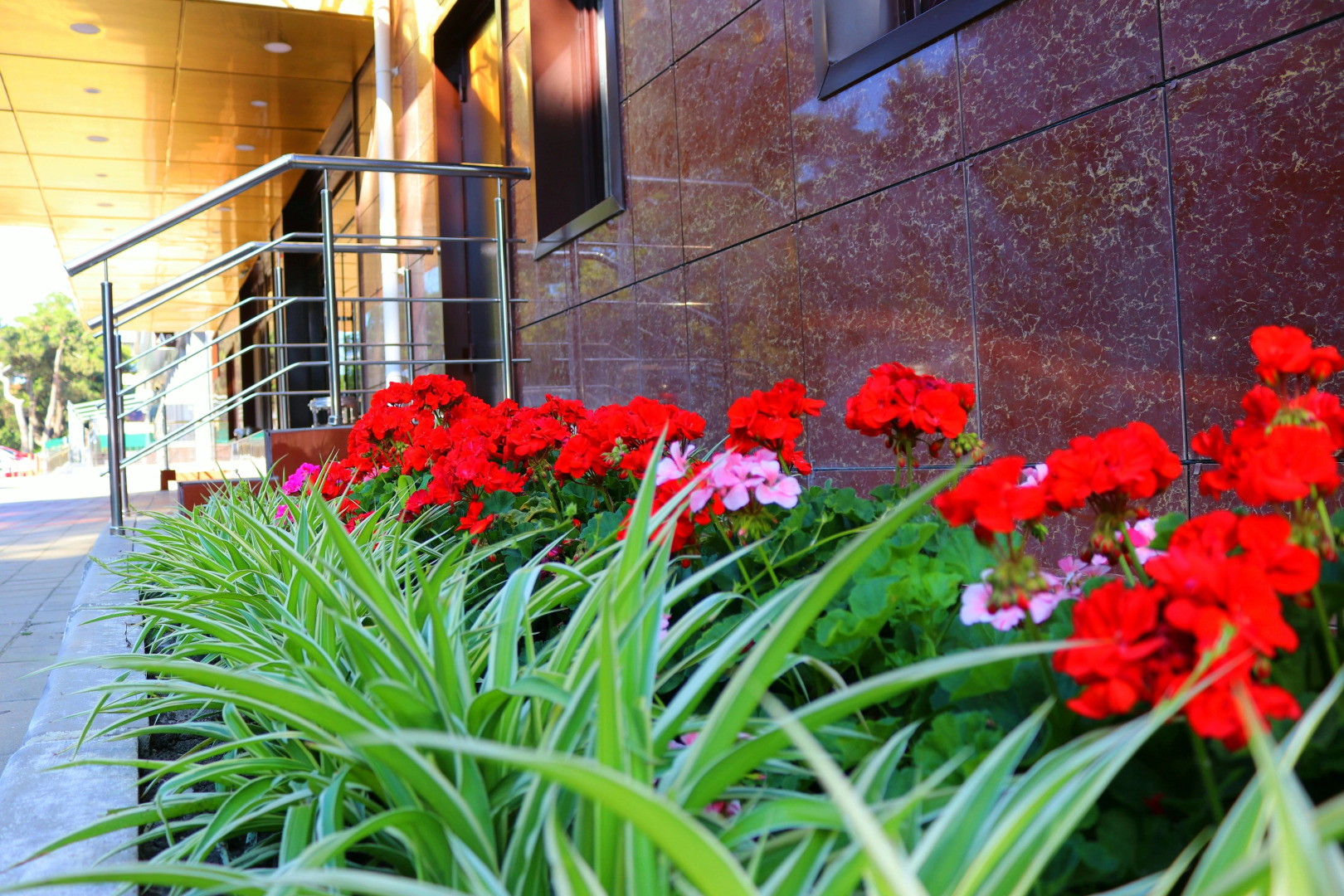 Отель Мишель