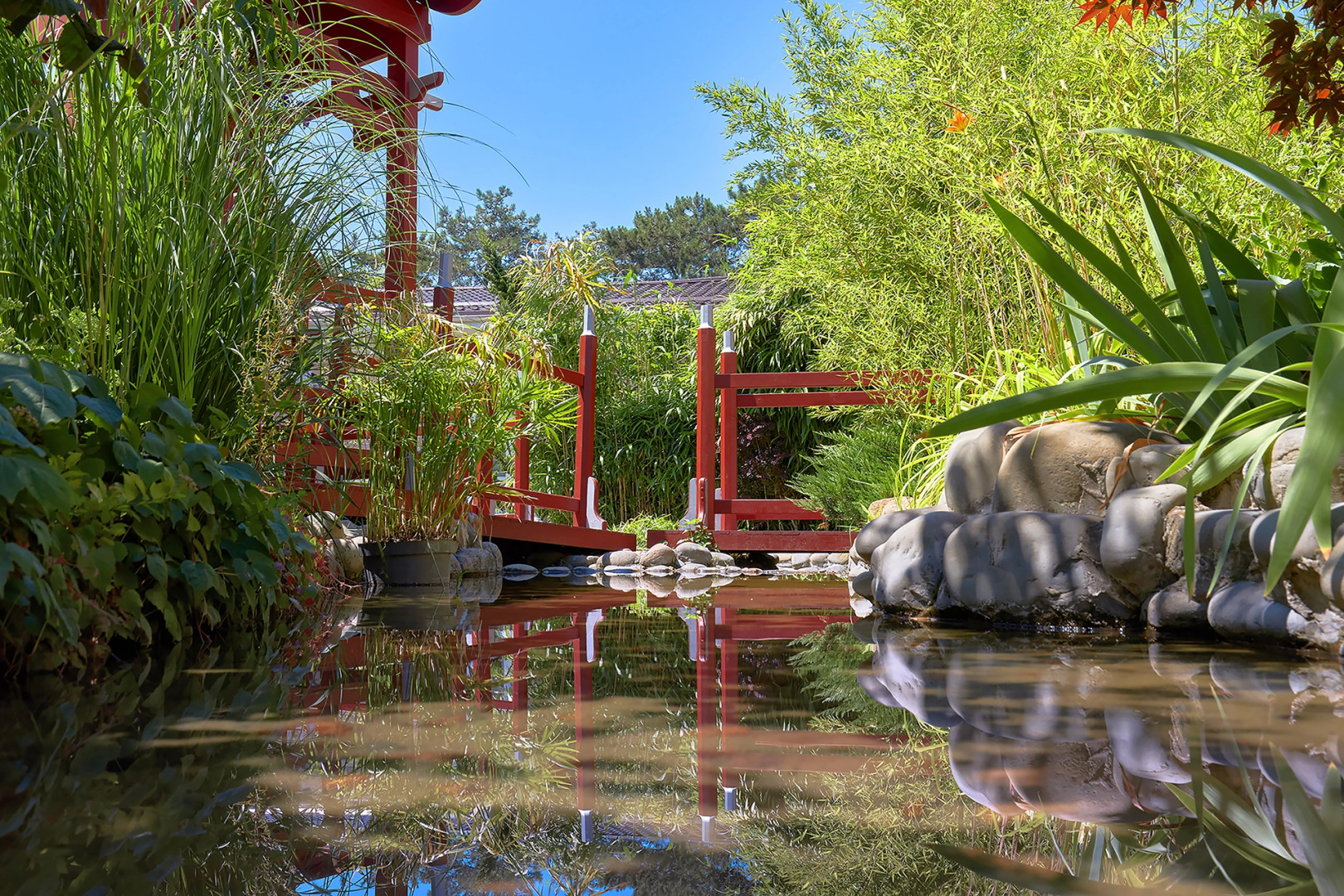 Курортный отель Alean Family Riviera