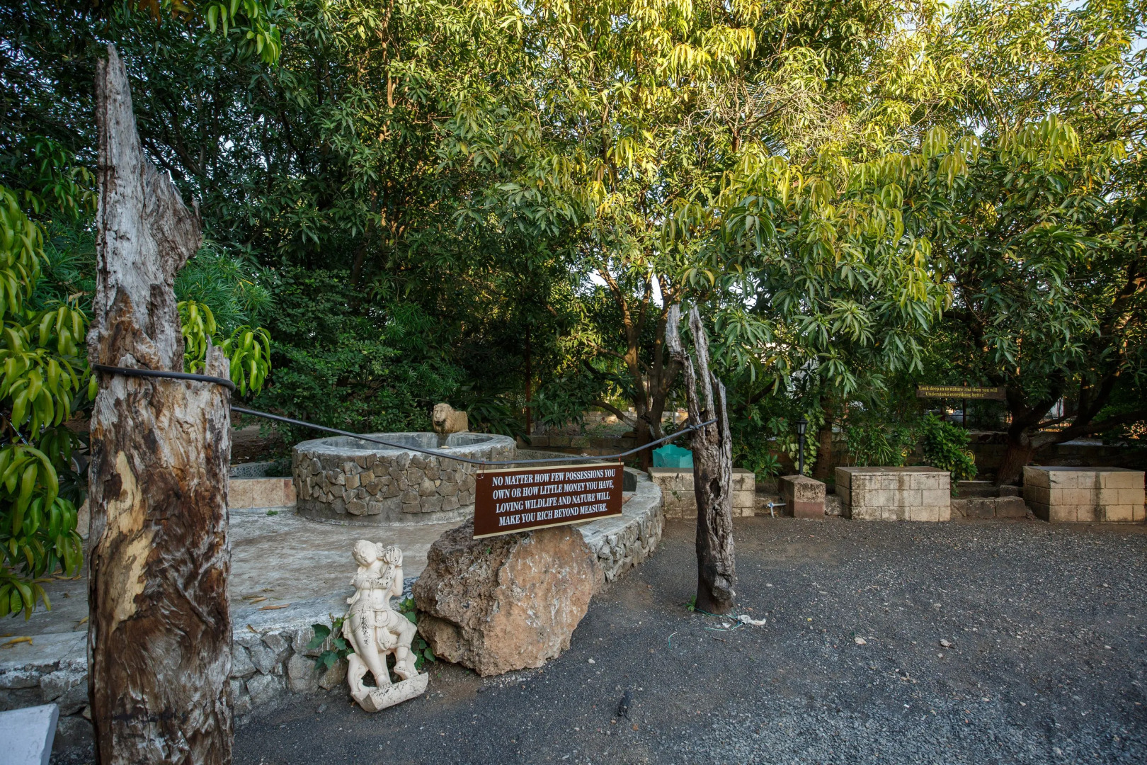 Отель Gir Lions Paw Resort