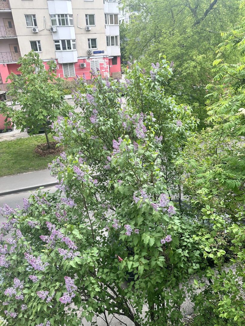 Квартира Отличная Двухкомнатная у ВДНХ