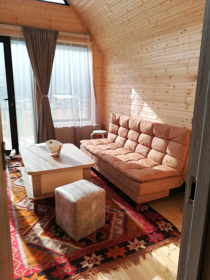 Шале Mood Villa Kazbegi