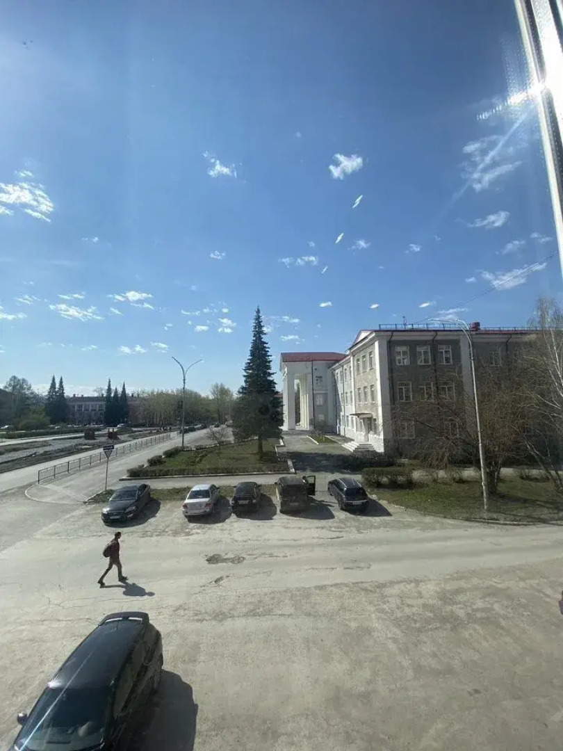 Квартира Желтый Нарцисс с новым евроремонтом