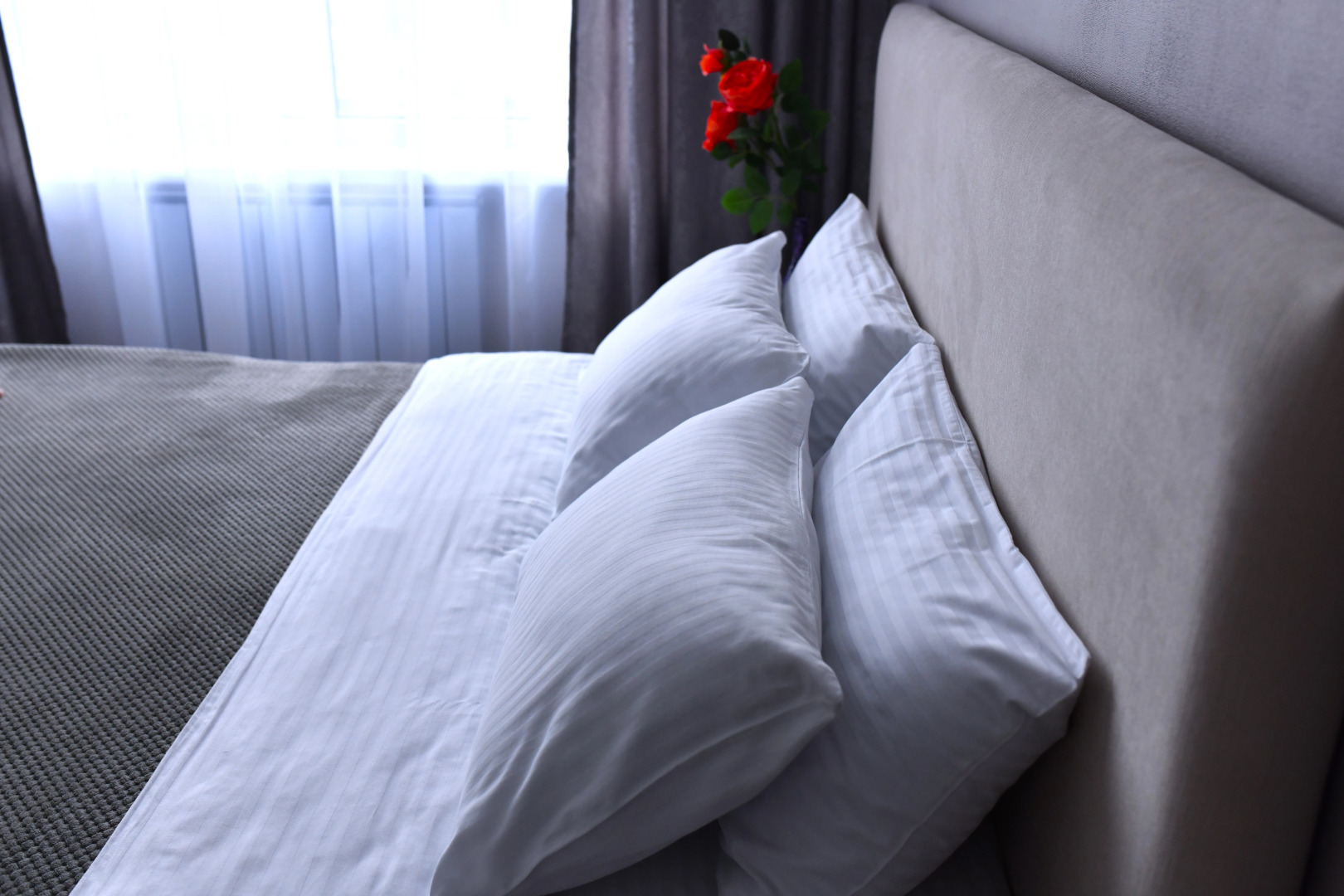 Квартира Премиум в Новом Доме Романов New Life