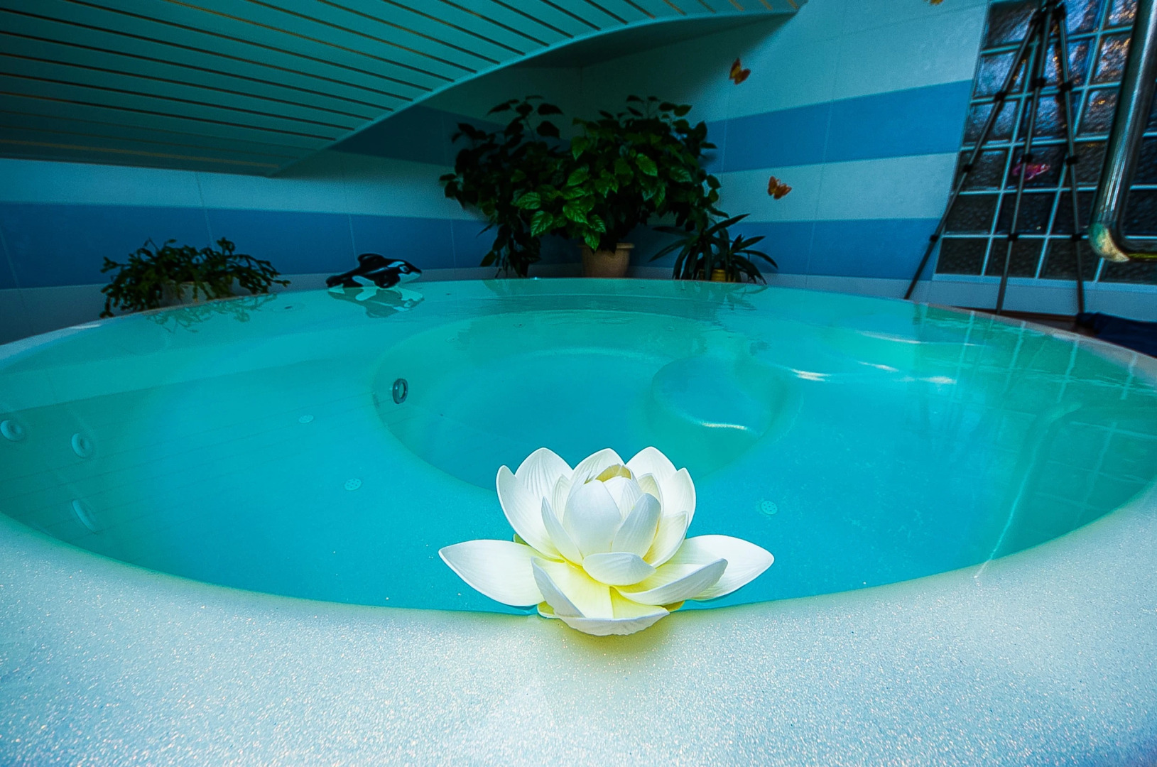 Отель Империал