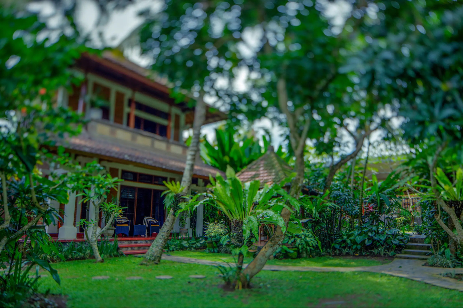 Курортный отель Alas Petulu Cottages