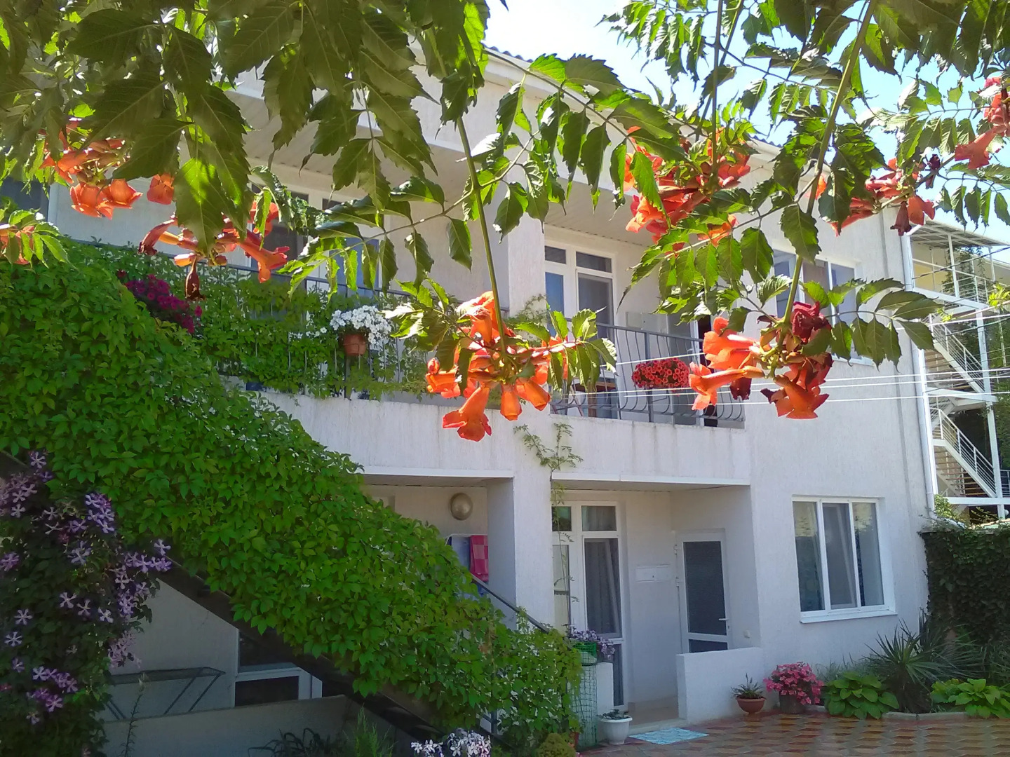 Гостевой дом Виктория