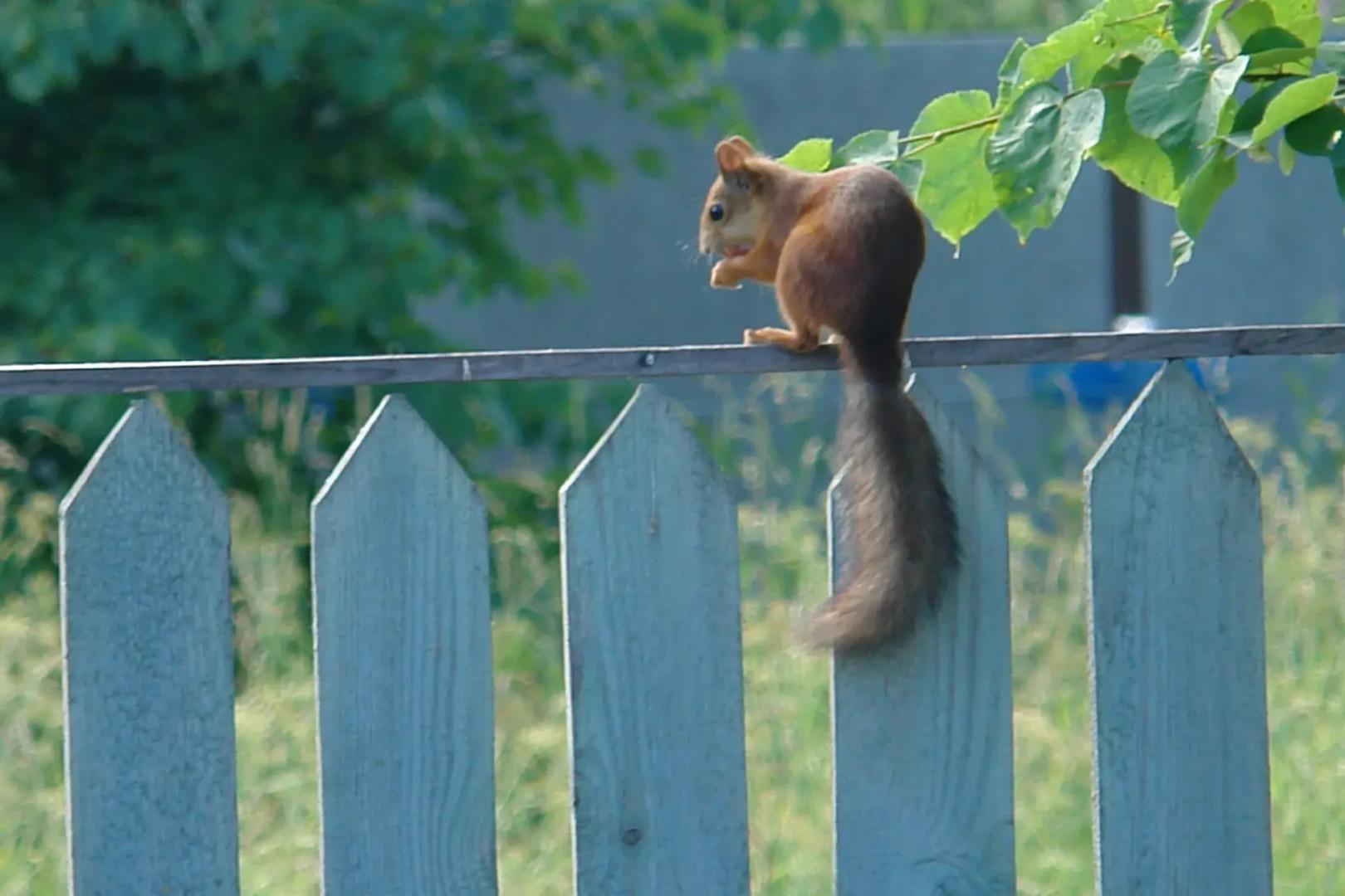 Гостевой дом Гостевой Домик с Баней