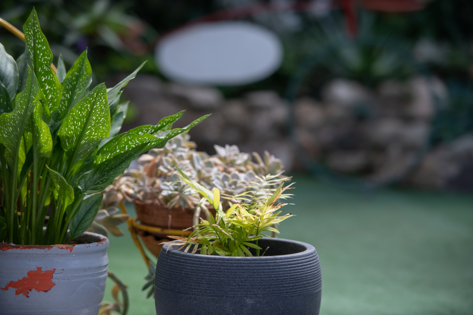 Апарт-отель Epohikon Studios