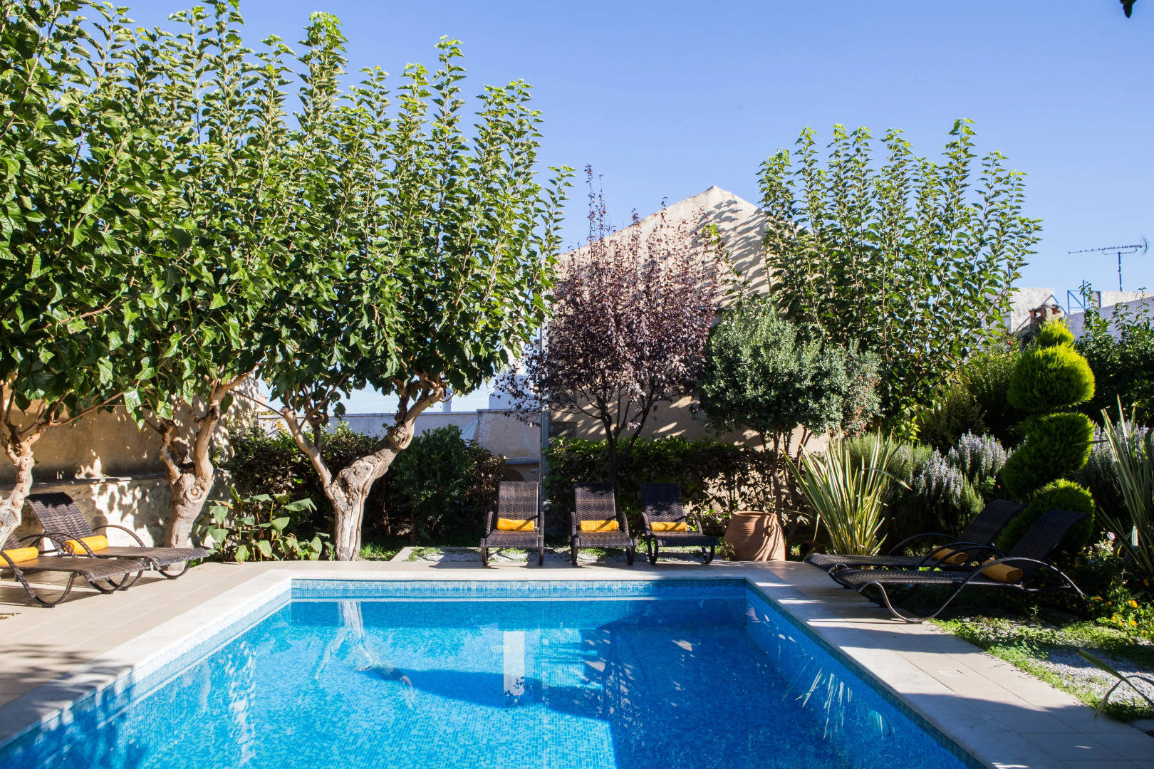 Отель Arcus Suites