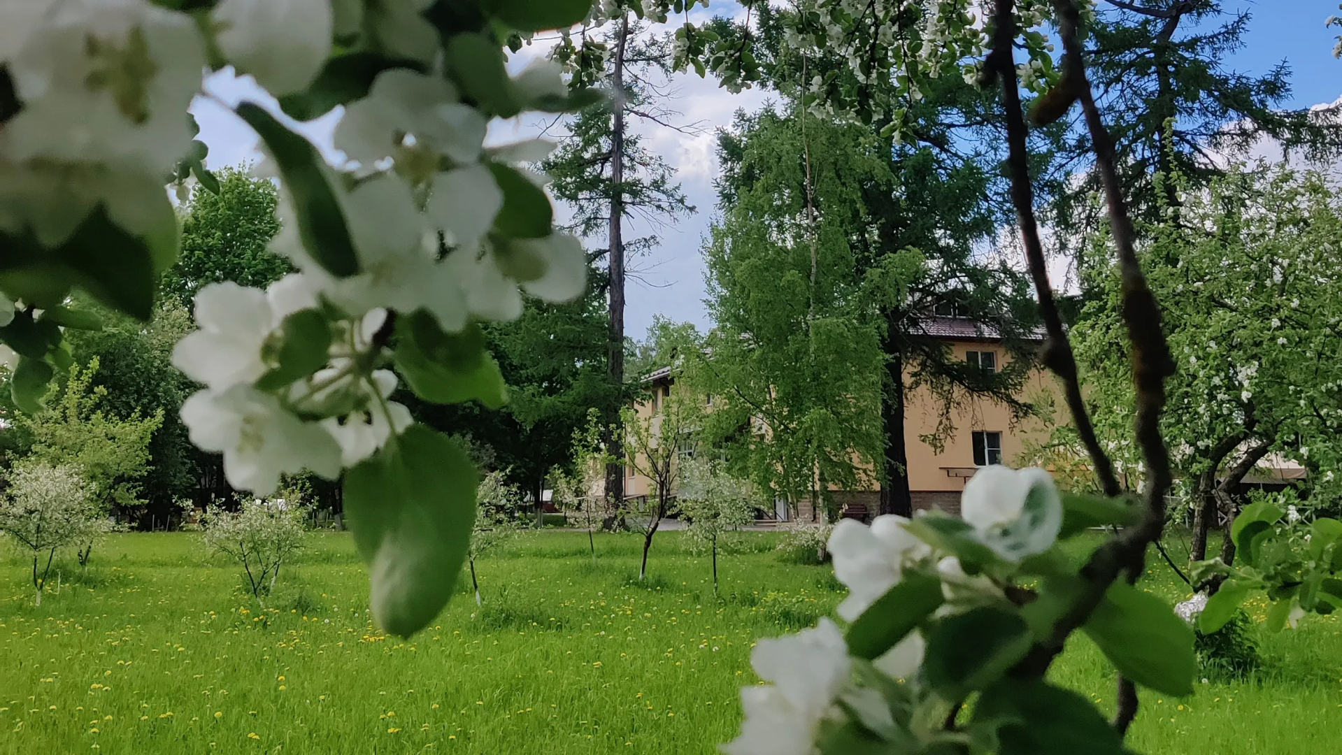 База Отдыха Староладожская Дача