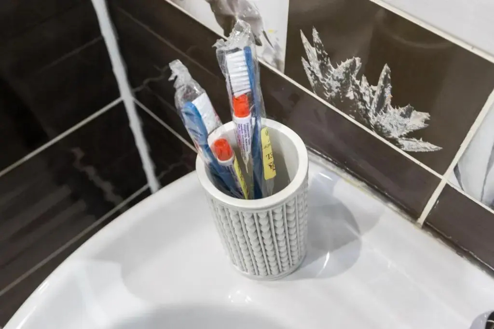 Квартира Толстой Пионерская Gold