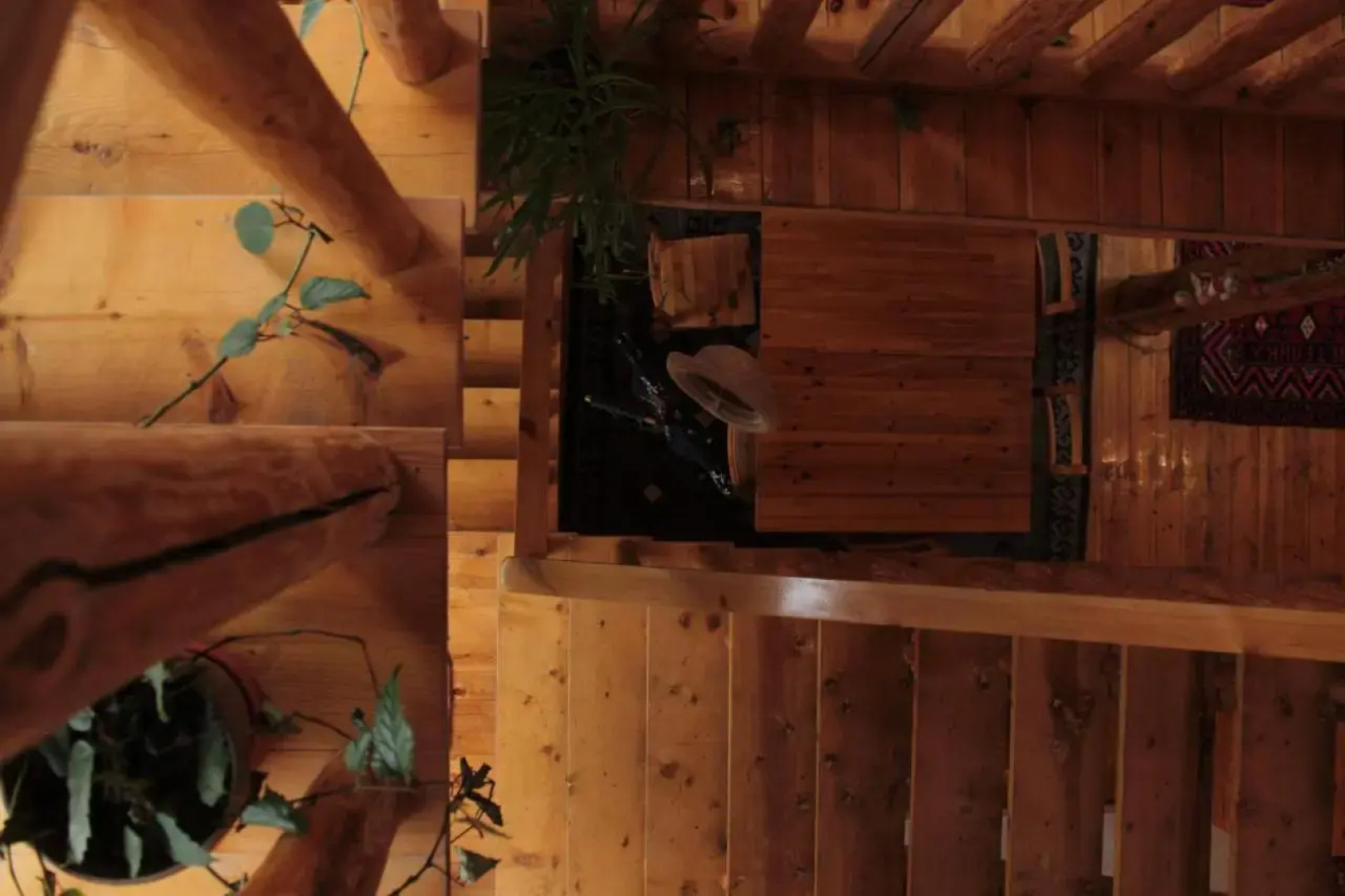 Guest house Matsunoki hotel