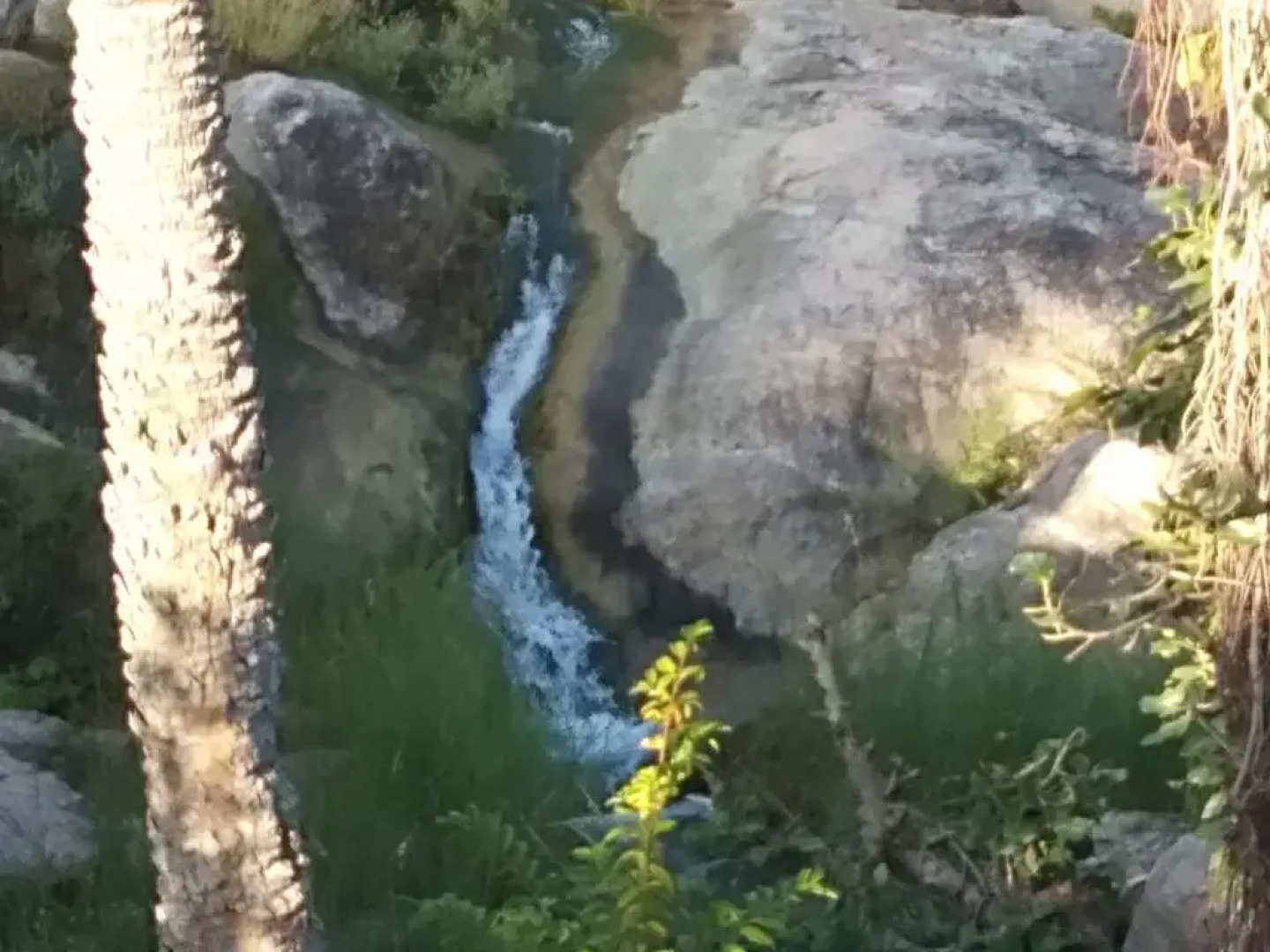 Отель Jungle Camp Resort