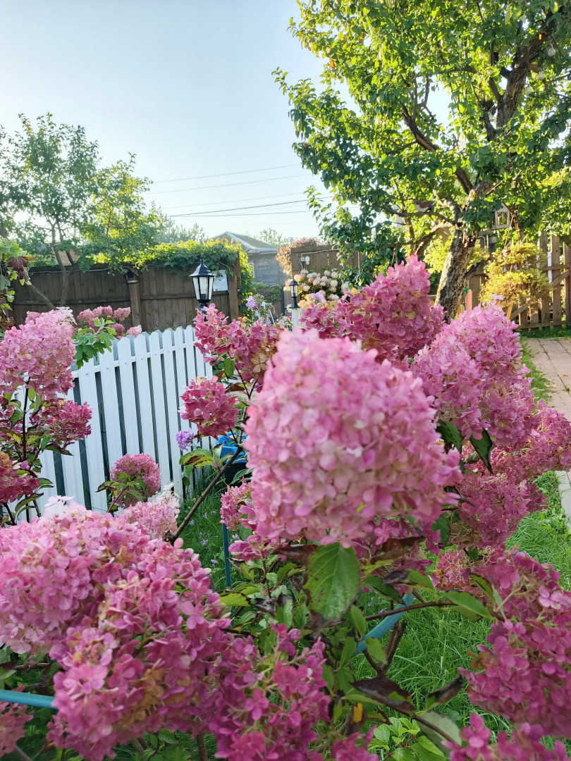 Гостевой дом Чибис