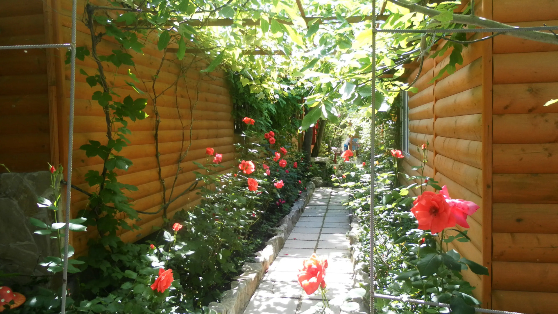 База Отдыха Солнечное