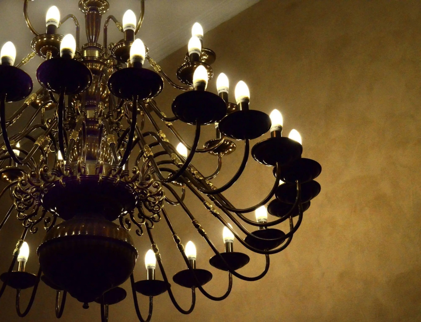 Отель Belgrade City