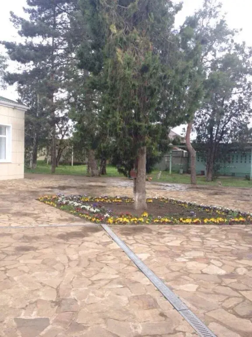 Ночлег и завтрак Гостиница Надежда