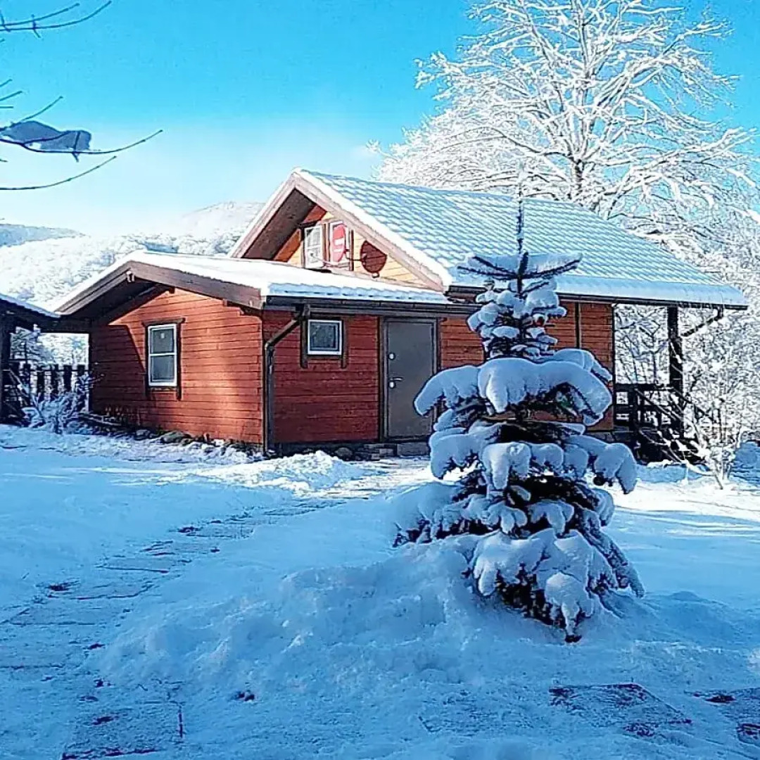 Шале Дрозды