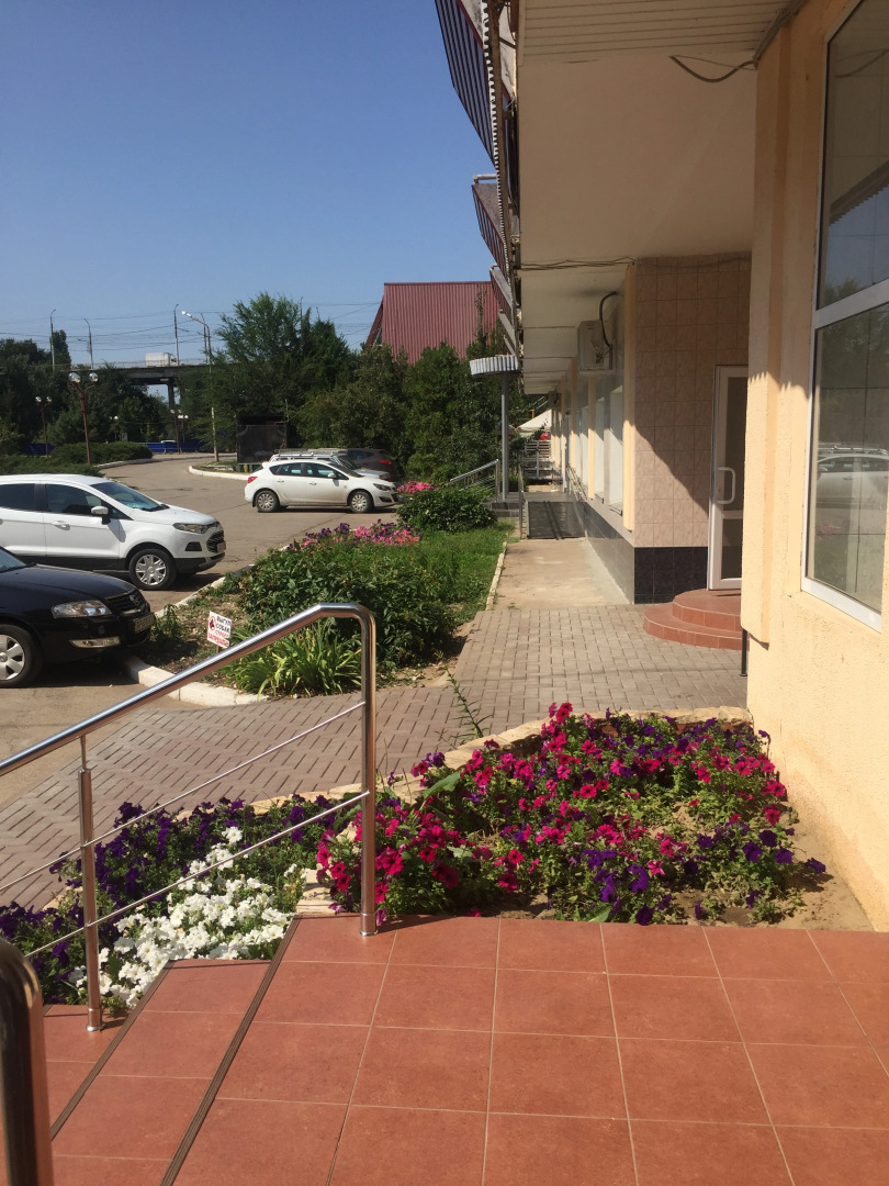 Отель Звездный