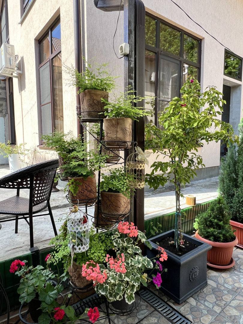 Гостевой дом Сюзи