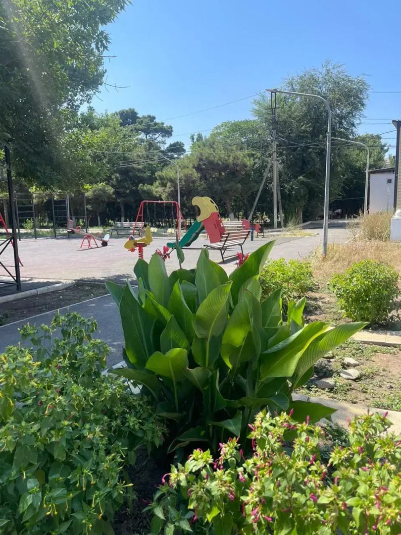 Квартира Уютная квартира у моря в центре