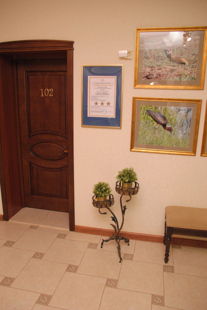 Отель Добриан