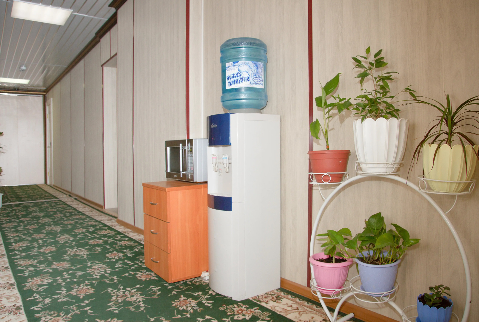 Мини-Отель Север Плюс