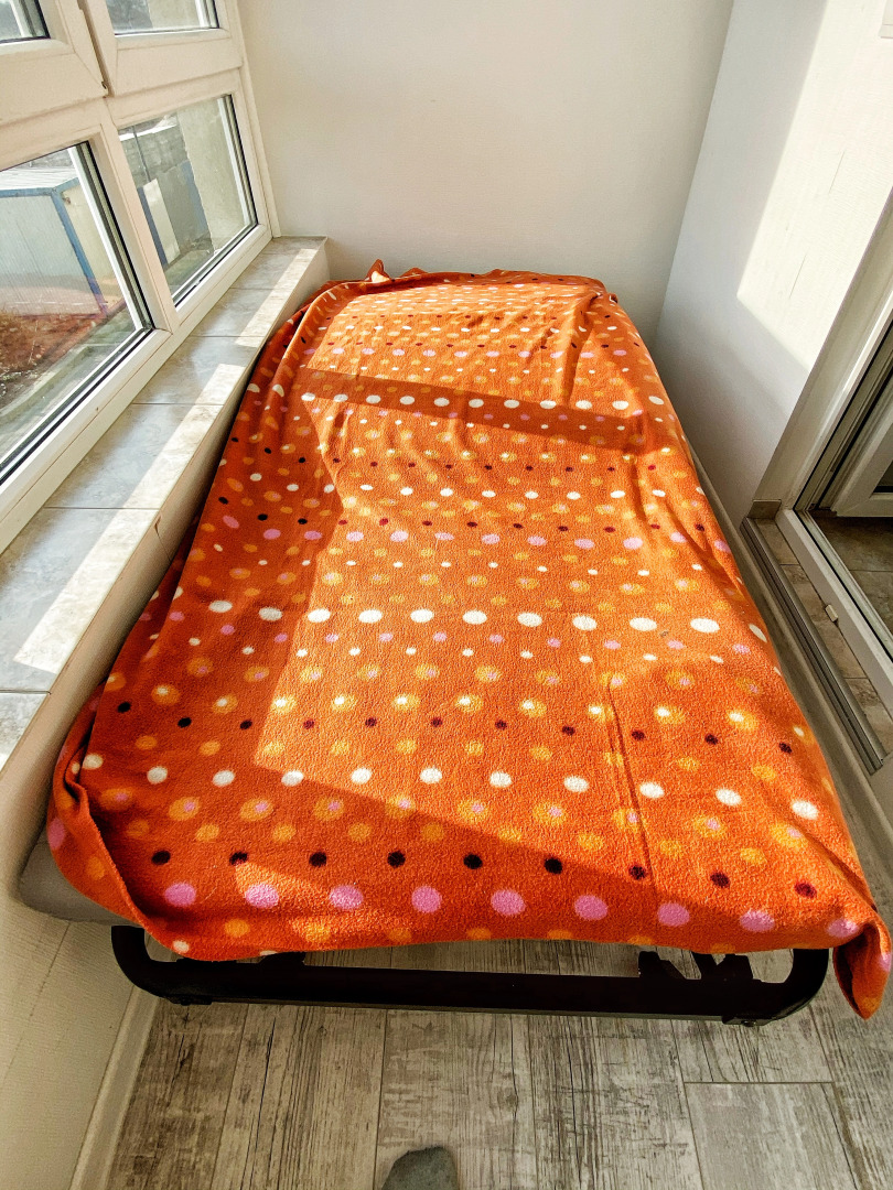 Апартаменты Turgenev Apartment in Zelenogradsk