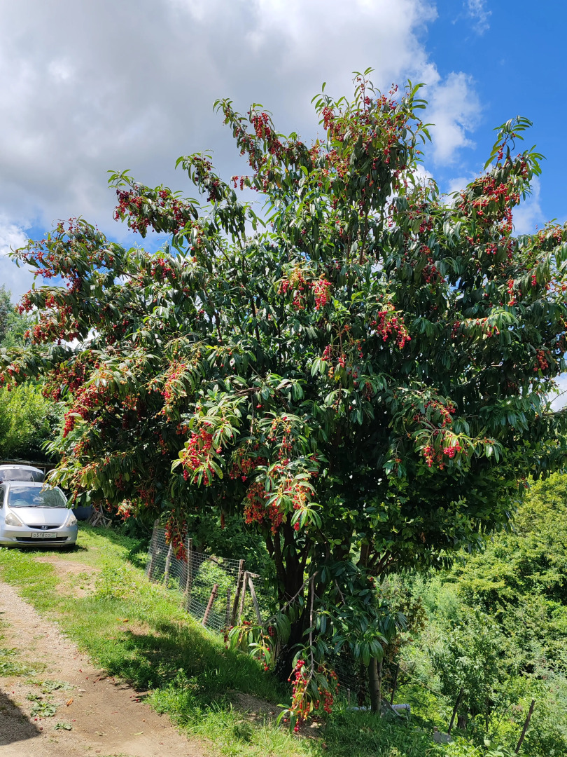 Гостевой дом  У Андрея и Анны