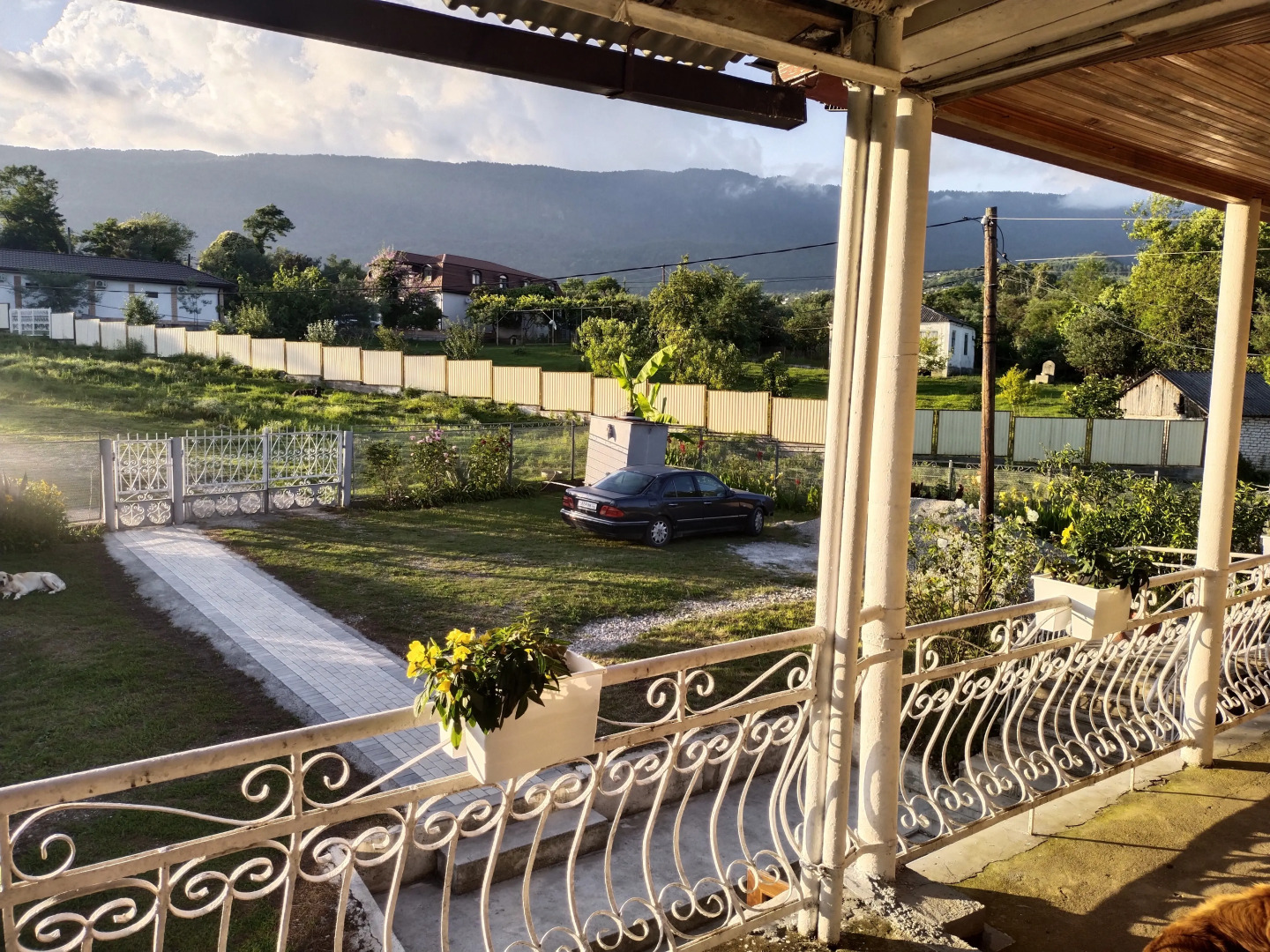 Гостевой дом Цитрус 21