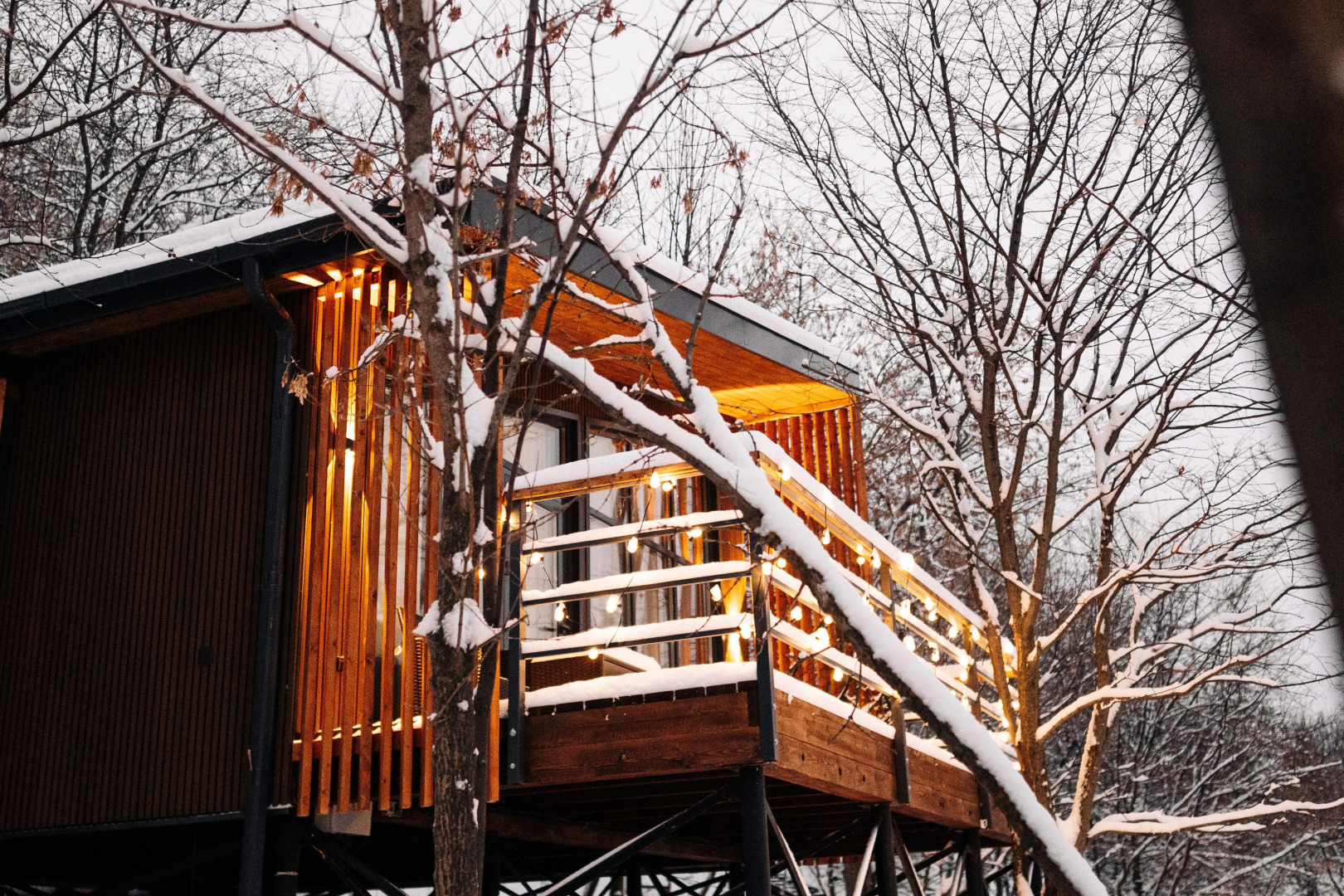 Кемпинг Загородный клуб Форрест