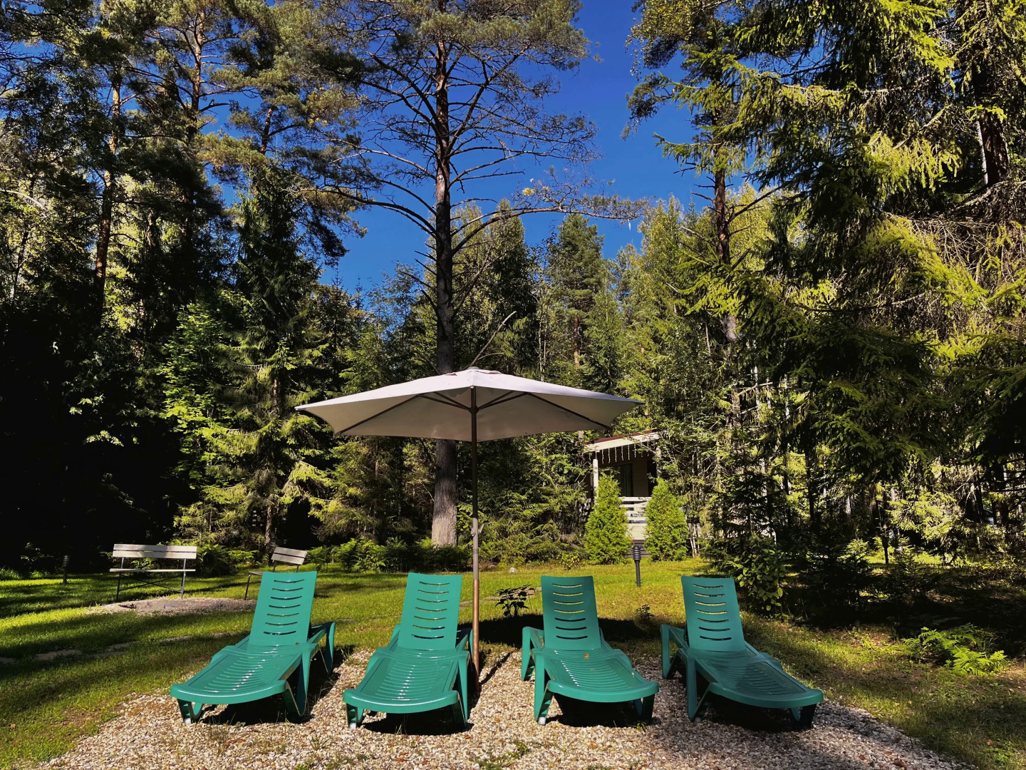 Домик на опушке на берегу Озера Волго на Селигере - коттеджи Сосновый бор