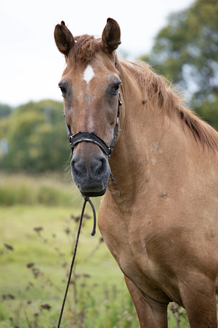 База отдыха Деревня Зюзино
