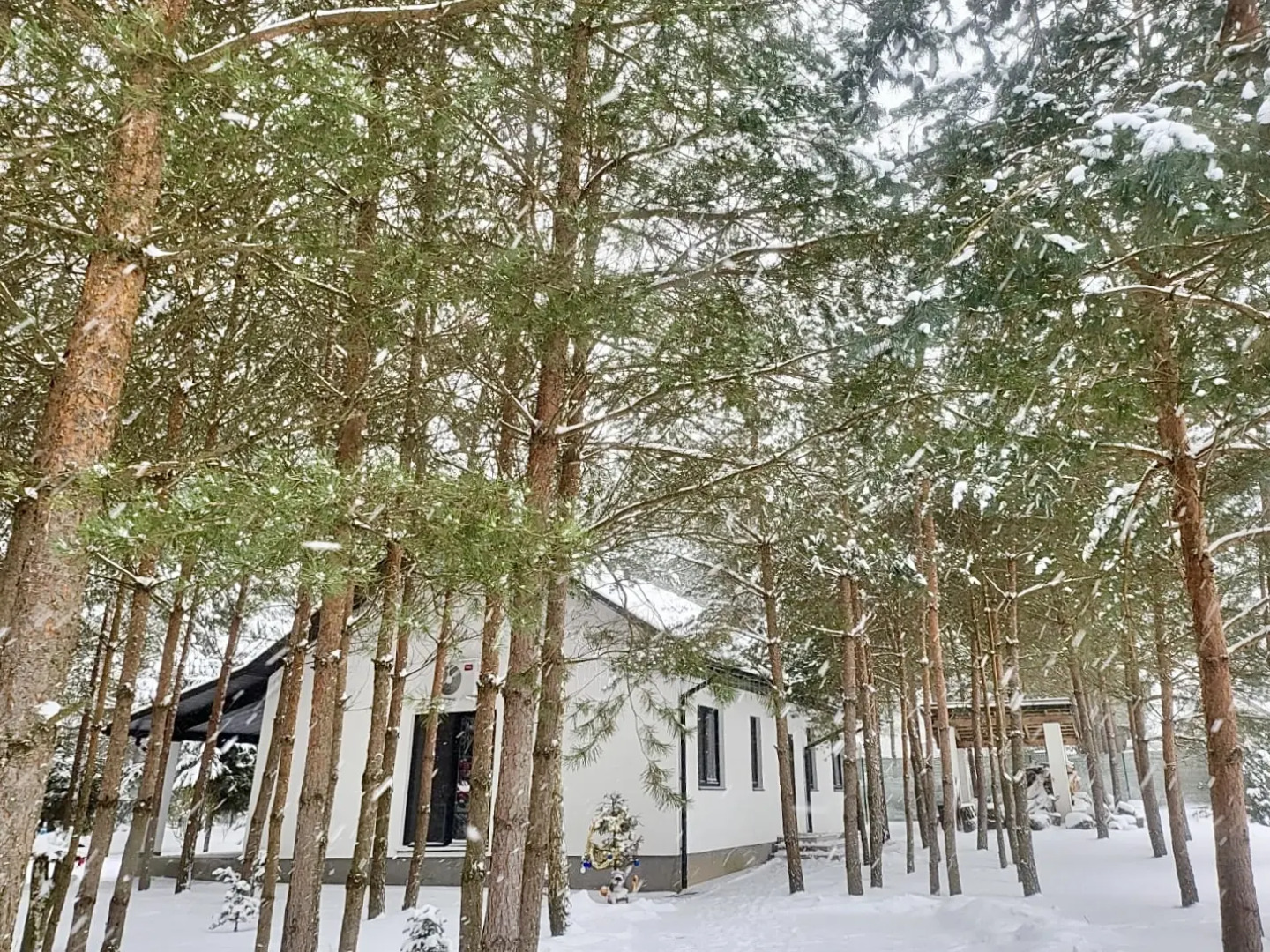 Частный дом Премиальный семейный дом в сосновом лесу