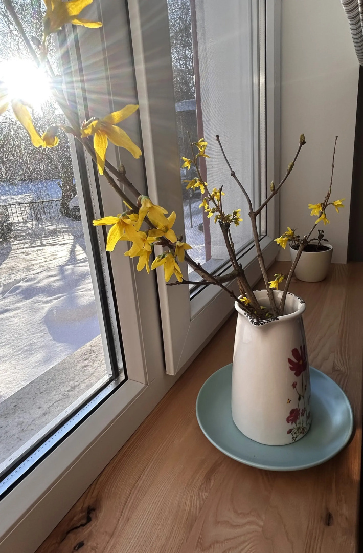 Квартира Шкатулка Амалиенау
