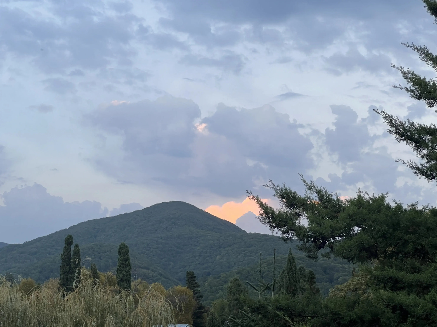 Пансионат Лад