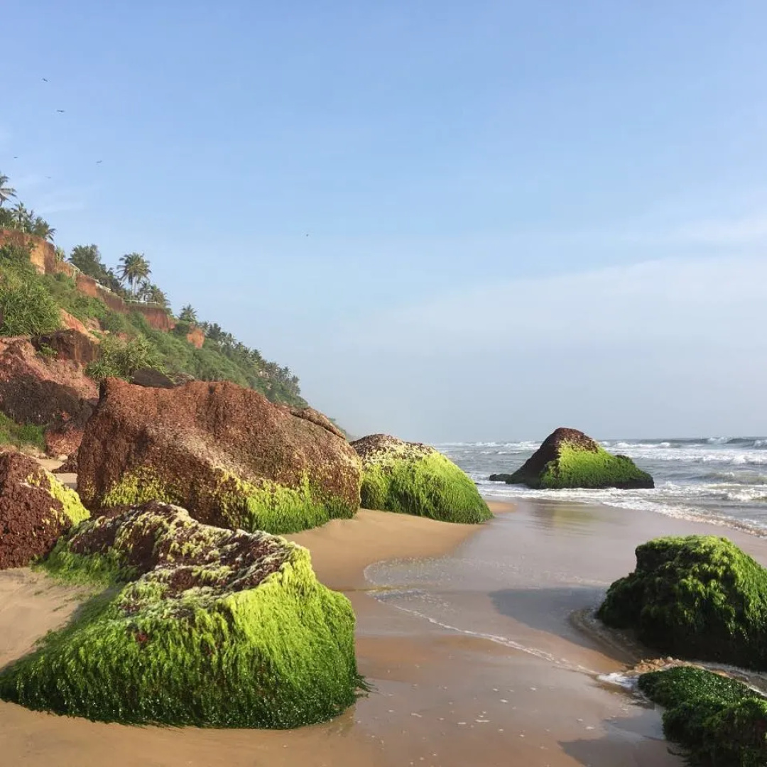 Отель Blooming Bay - Clifftop Beach Resort