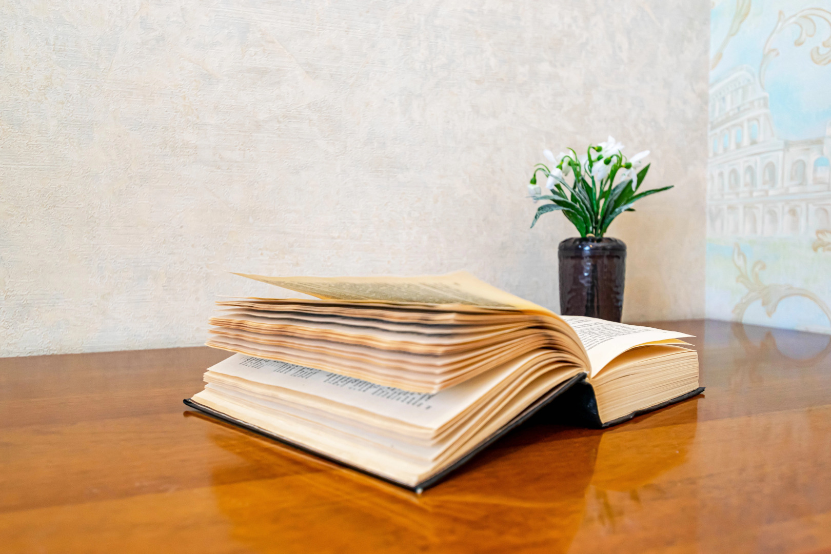 Апартаменты Сладких Снов на Толмачёва 17