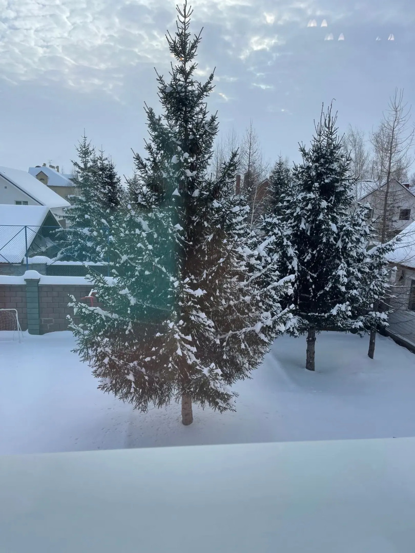 Гостевой дом на Берёзовой